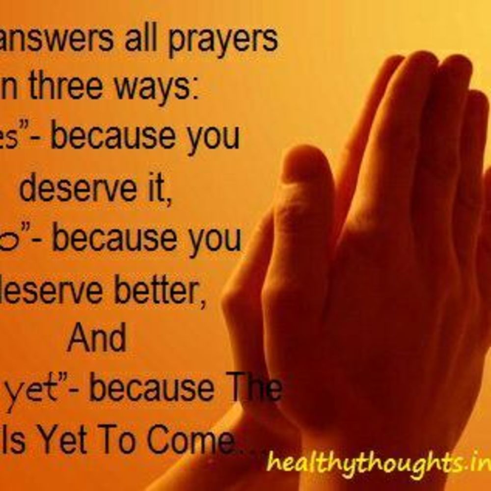 Meet your Posher, Noreen